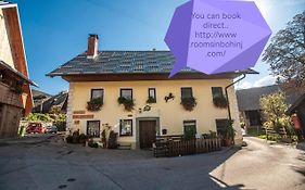 Hostel, Rooms And Apartment Ceklin